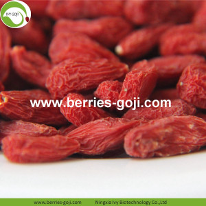 Beli Natural Nutrition Dry Fruit Lycium Barbarum