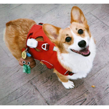 Super süßer Hund Kacke Taschenhalter