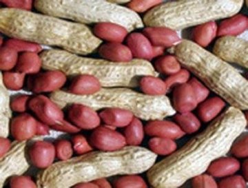 Four kernels red skin peanuts