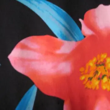 Shiny Printed Stretch Fabric with 59 Inches Width, Suitable for Swimwear