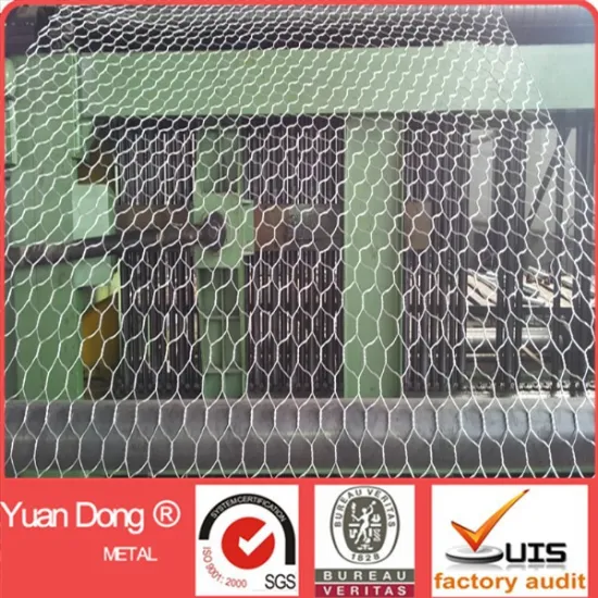 widely used flood protection galvanized welded gabion mesh
