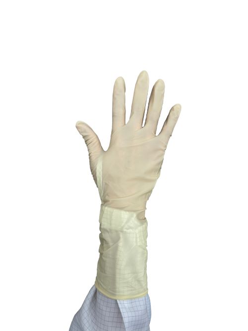 Disposable Latex Gloves 2