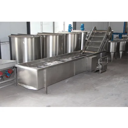 Automatic Mulberry and Soft Fruits Drench Washing Machine