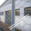 Low Cost Electro Galvanized Hexagonal Wire Netting