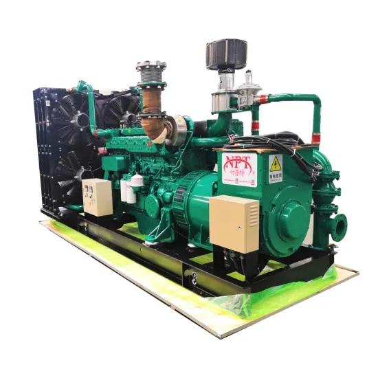 250 kW Biogas Generator Set 312.5 kVA 50/60 Hz