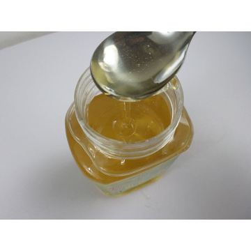 Low Price Exporting Bulk Little Fennel Honey