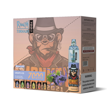 Randm Tornado 7000 Puffs Disposable Vape Wholesale Kit