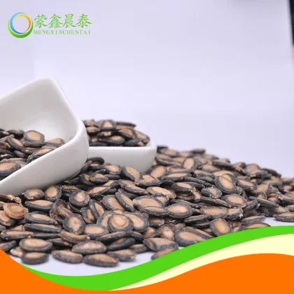 Watermelon seeds in Black