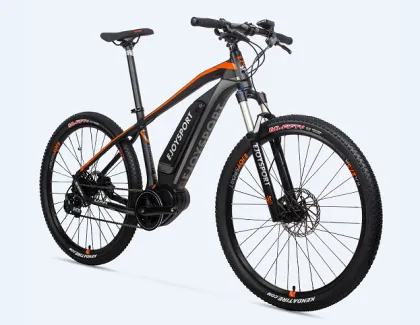 Customized Specialized Electric Mtb