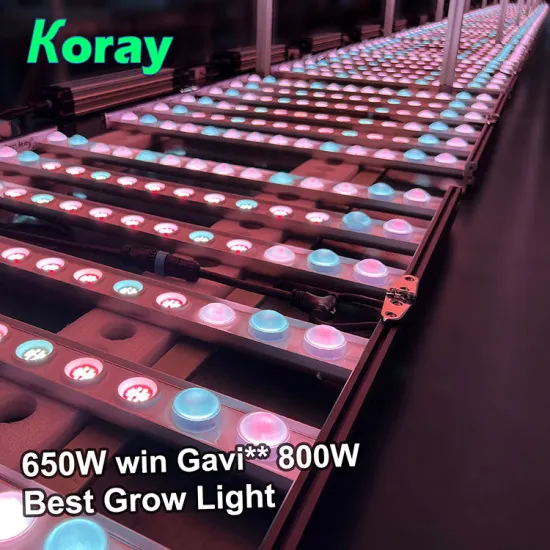 Samsung LM301H LM301B 630W 600W 2.9umol/J Full Spectrum LED Grow Light for Indoor Commercial Vertical Farming