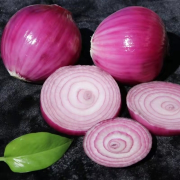 Export Quality 5/7cm and 8/9cm White Onion