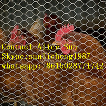 Hexagonal Wire Mesh (Galvanized)