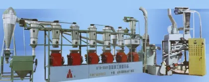 30t Sha Kelong flour mill