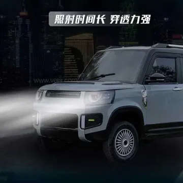 2023 New China Electric Car New Energy Car Small off-Road Car 4-Wheel Lead-Acid Battery High Quality Range Rover