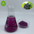 Natural Antioxidants Grape Seed Extract Procyanidin Powder