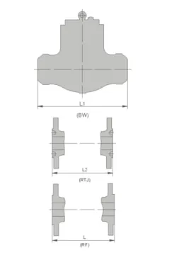 Pressure Seal Cover Check Valve