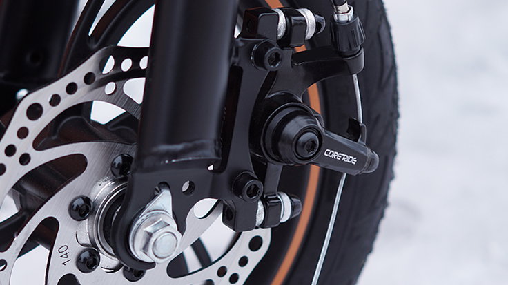 E Bike Double Disc Brake