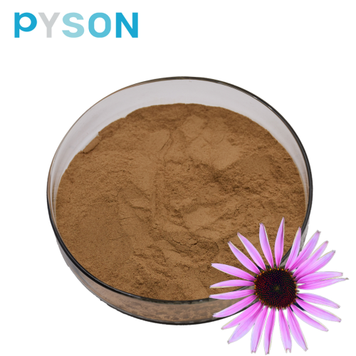 Echinacea polyphenols are used as antioxidants