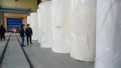 Tissue Paper Virgined Paper Mother Roll Parent Roll