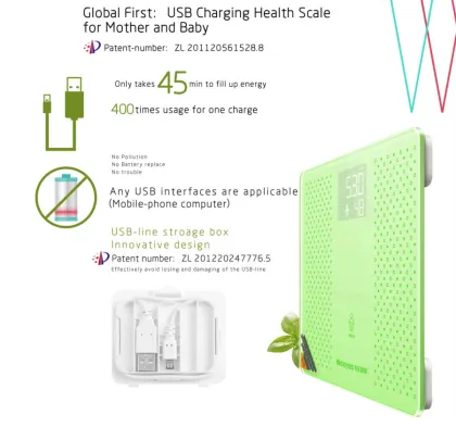 Digital Mother and Baby Scale