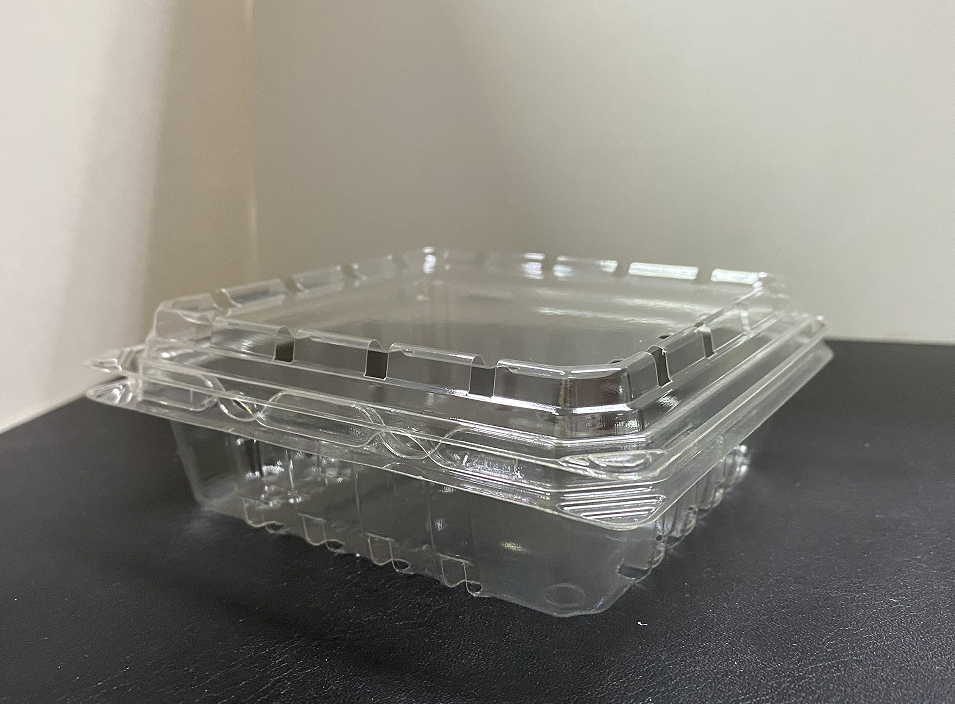 Plastic Fruit Packaging Boxes