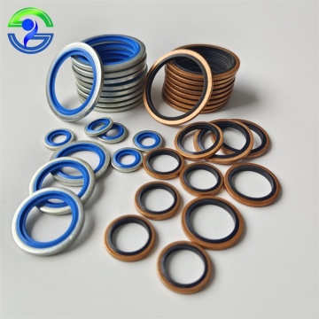 High Quality Metal NBR Seal Combination Gasket from China