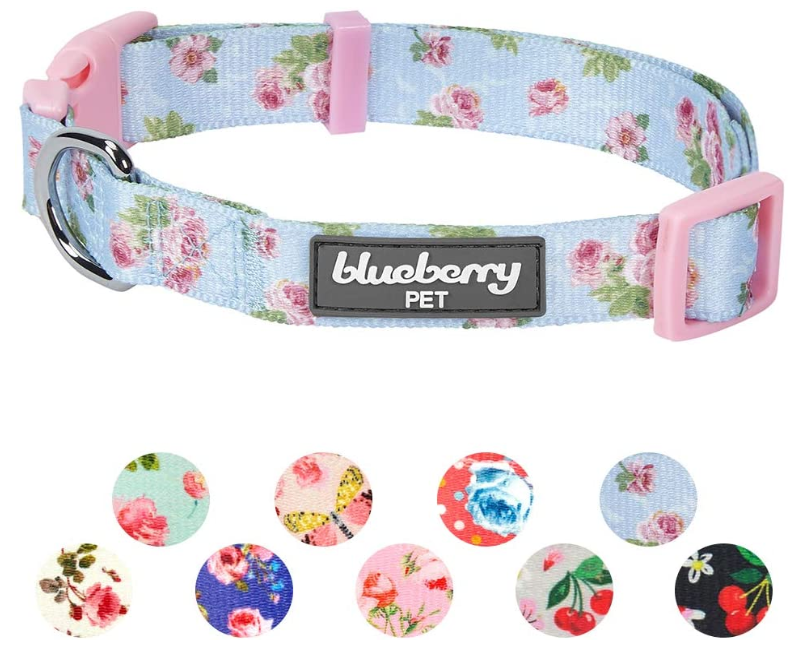 Spring Scent Floral Dog Collars