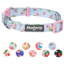 Spring Scent Floral Dog Collars