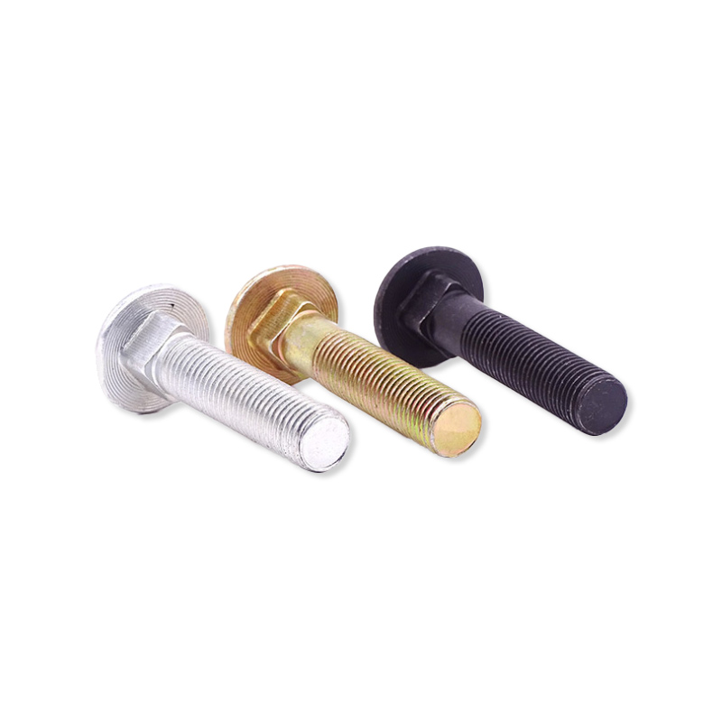 Round head bolts (17)