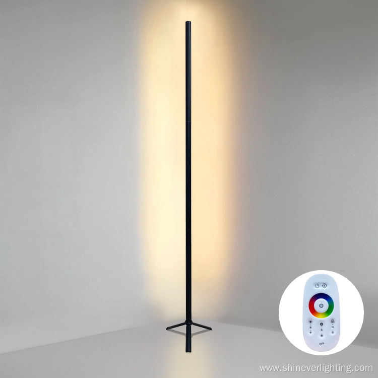 Home Decorative Dimmable Floor Lamp