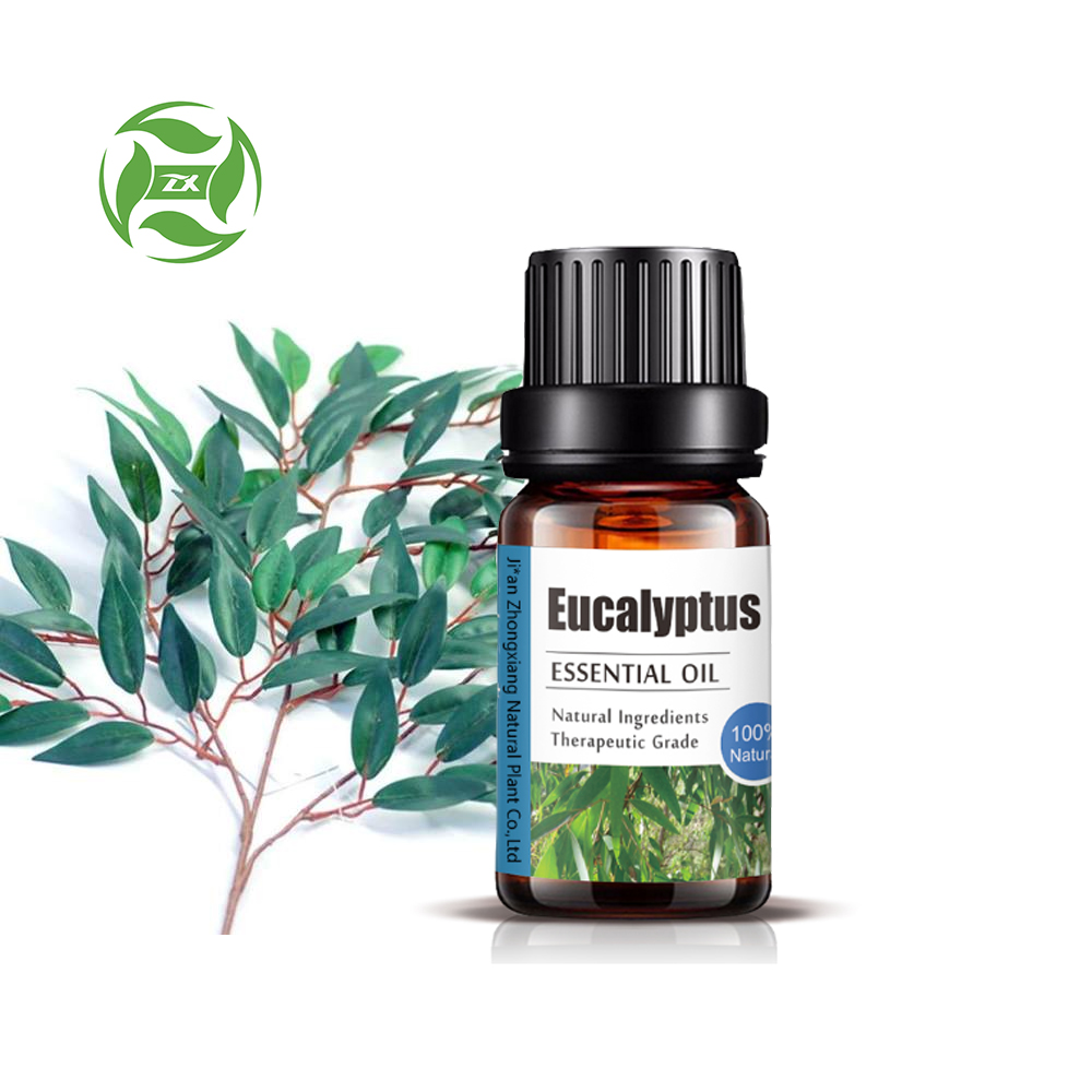 100% pure natural eucalyptus oil wholesale bulk