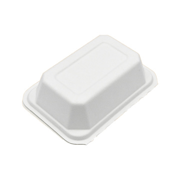 Wegwerp Bagasse -medewerker Food Container Lunch Box