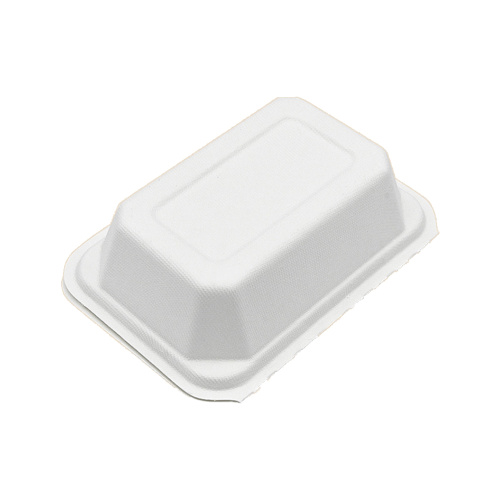 Einweg -Bagasse -Tischgeschirr Food Container Lunchbox