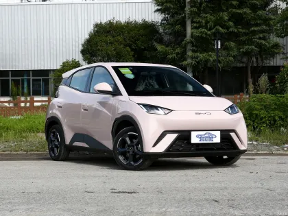 2024 BYD Seagull: Chinese 5-Seat Small Electric Car