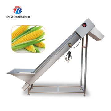 Stainless Steel Chain Plate Elevator for Fruit Conveyor System