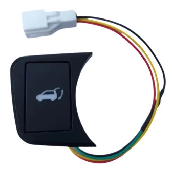 Factory Price Black Tailgate Switch Button for Trumpchi GS8