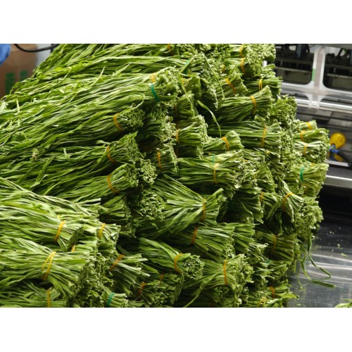 Küçük Paketlenmiş Kurutulmuş Haraç Yeşilleri