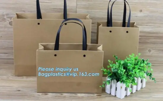 Latest Hot Pla Lined Kraft Paper Bags, brown kraft paper packaging shopping bag, kraft paper bag for shopping gift packaging