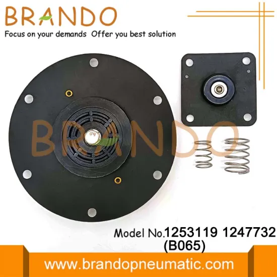 2'' 1253119 1247732 NBR Dust Collector Pulse Jet Valve Diaphragm