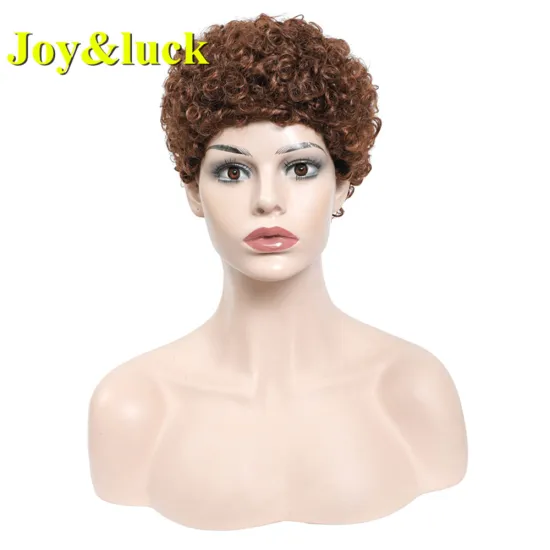 African Ladies Hair Wigs Wholesale Wigs for Black Women Cosplay or Party Brown Color Natural Curly Short Synthetic Hair Wigs