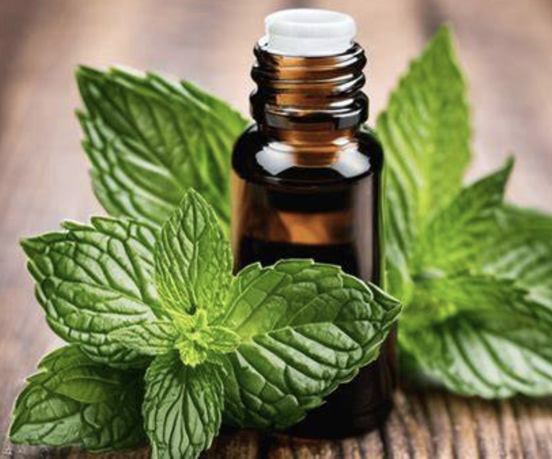 Peppermint Powder for Beverages