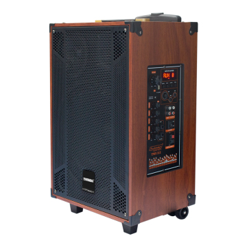 Temeisheng 12inch Wooden Rechargeable DJ Trolley Speaker TMS-312