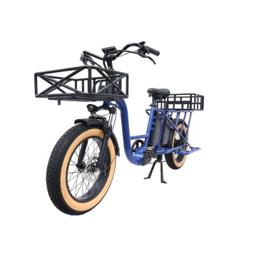 Nieuwe 750W 52V Electric Mountain Bike met dubbele 20Ah -batterijen en kinderwagencapaciteit