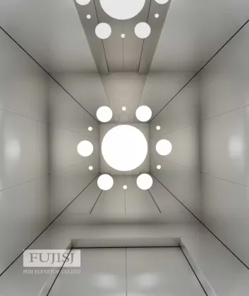 Fuji Elevator Manufacturer Luxury Villa Lift for 1600kg Passenger Elevator