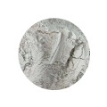 /msite/products/detail/productid/58744783/id/684787.html