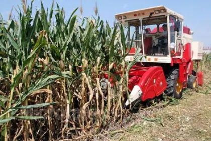 Corn Harvester Farming Machinery
