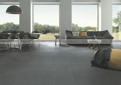 24x24 kajaria porcelain floor and wall tiles