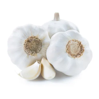 Fresh white garlic price single seed
