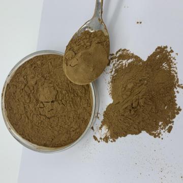 Dogwood Extract Powder Pure Natural Radix 10:1 Organic