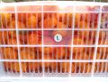 Top Quality Nanfeng Baby Mandarin Orange Export Price